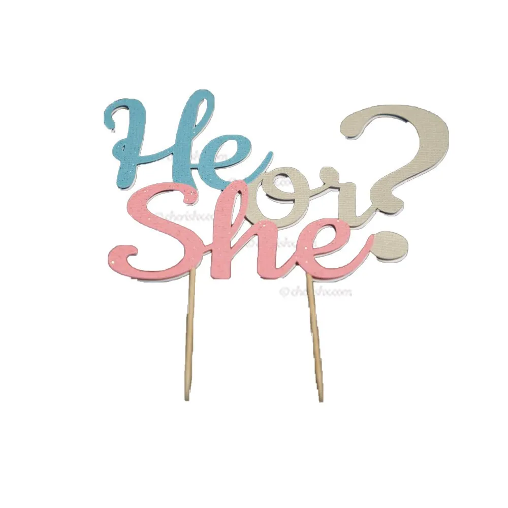 Baby Shower He or She Cake Topper