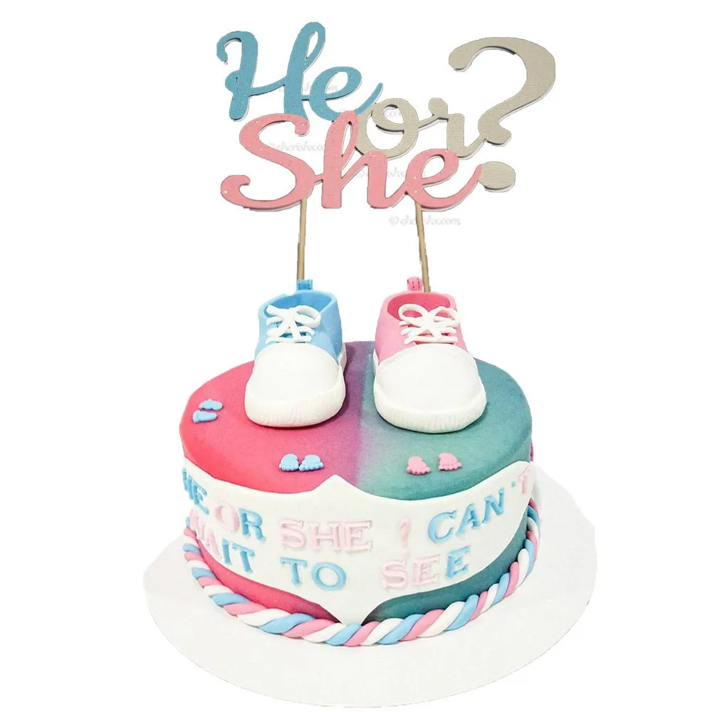 Baby Shower He or She Cake Topper